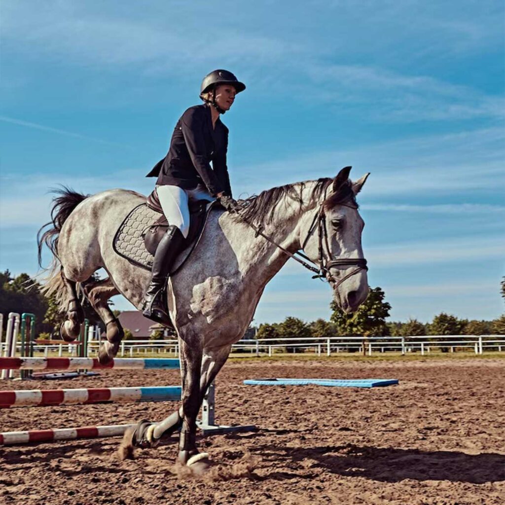 شرط‌بندی اسب‌دوانی